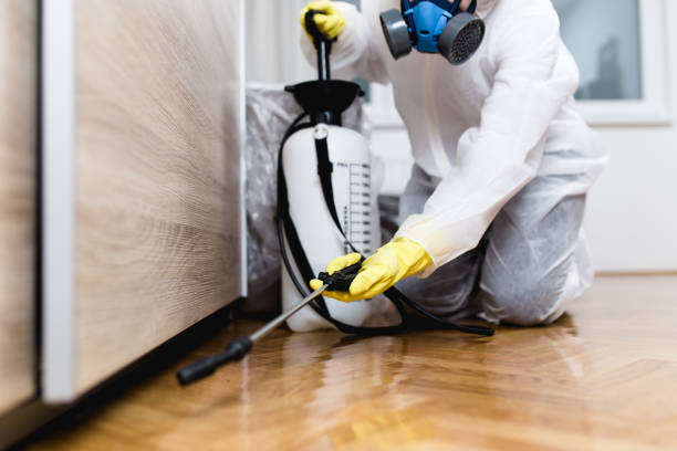 Best Best Pest Control Companies  in Paulding, OH