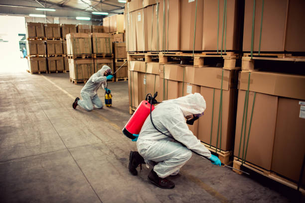 Best Pest Removal Services  in Paulding, OH