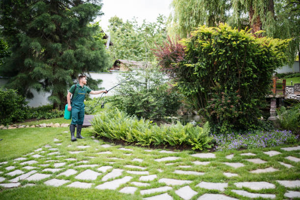 Best Wildlife Control Services  in Paulding, OH