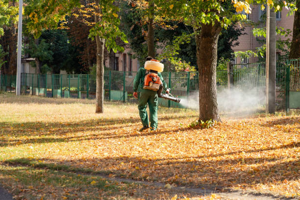 Best Local Pest Control Services  in Paulding, OH