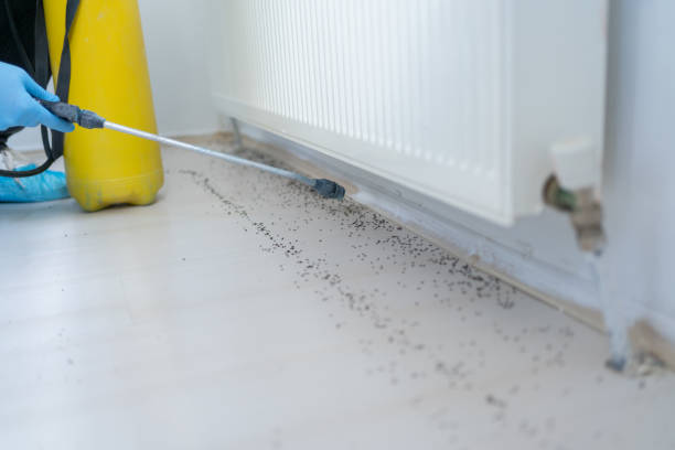 Best Best Pest Control Companies  in Paulding, OH